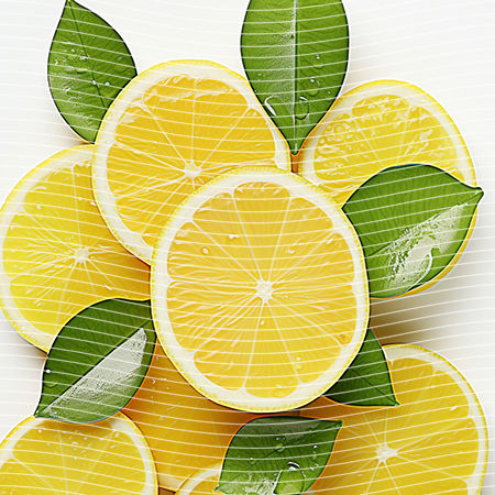 20oz integrate-EJ-9841